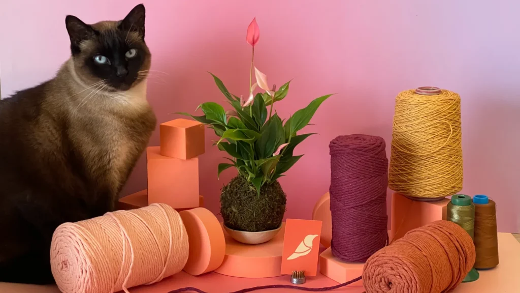 Enviar flores no Porto com bouquet artístico do Sabiá Estúdio