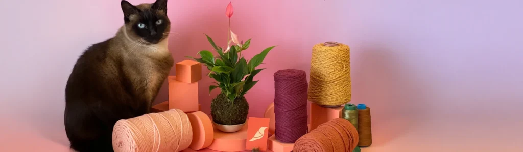 kokedamas sabia estúdio
